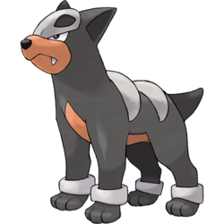 250px-228Houndour.png