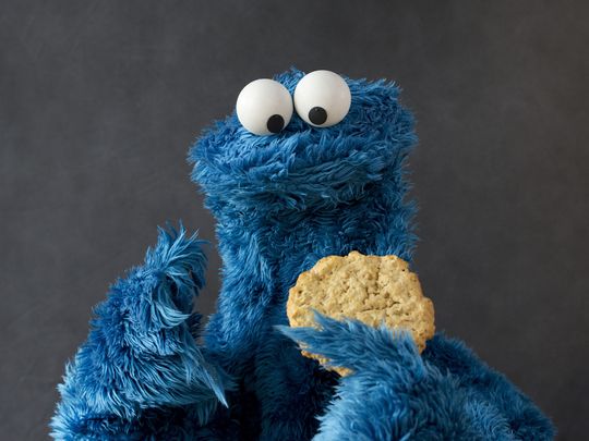 635593524112064726-XXX-SESAME-STREET-COOKIE-MONSTER-EB3647-58426690.JPG