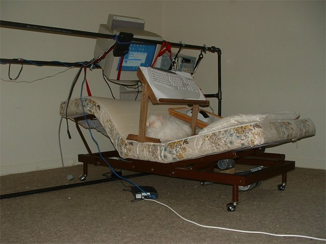 bs16.JPG