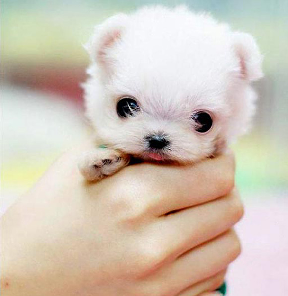 cutie.jpg
