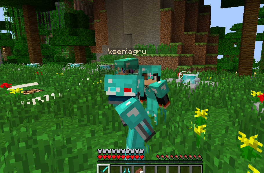 Diamond armour ftw.png