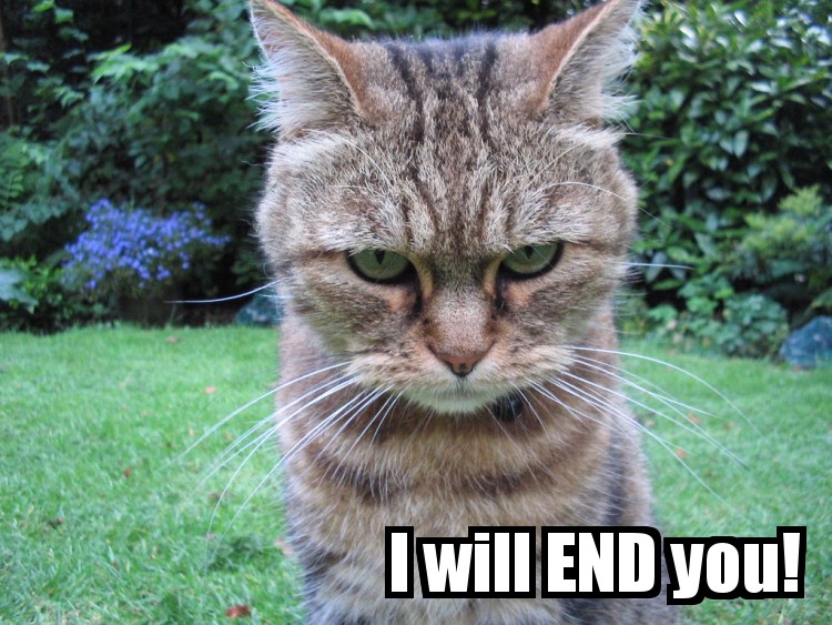 evil_cat_by_emelfi.jpeg