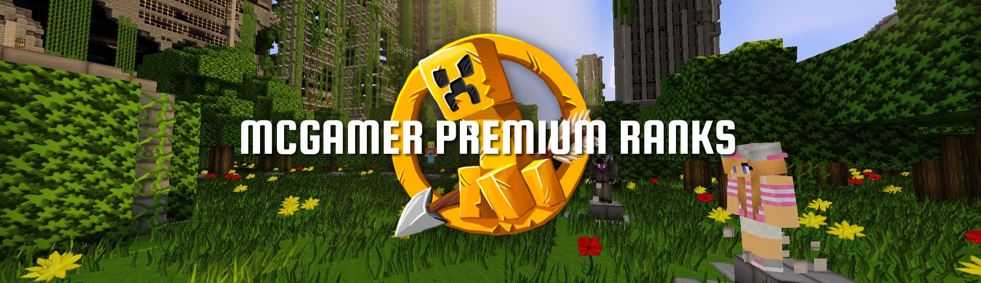 mcgamerpremium bar.jpg