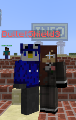 MCSG BulletShield3.PNG
