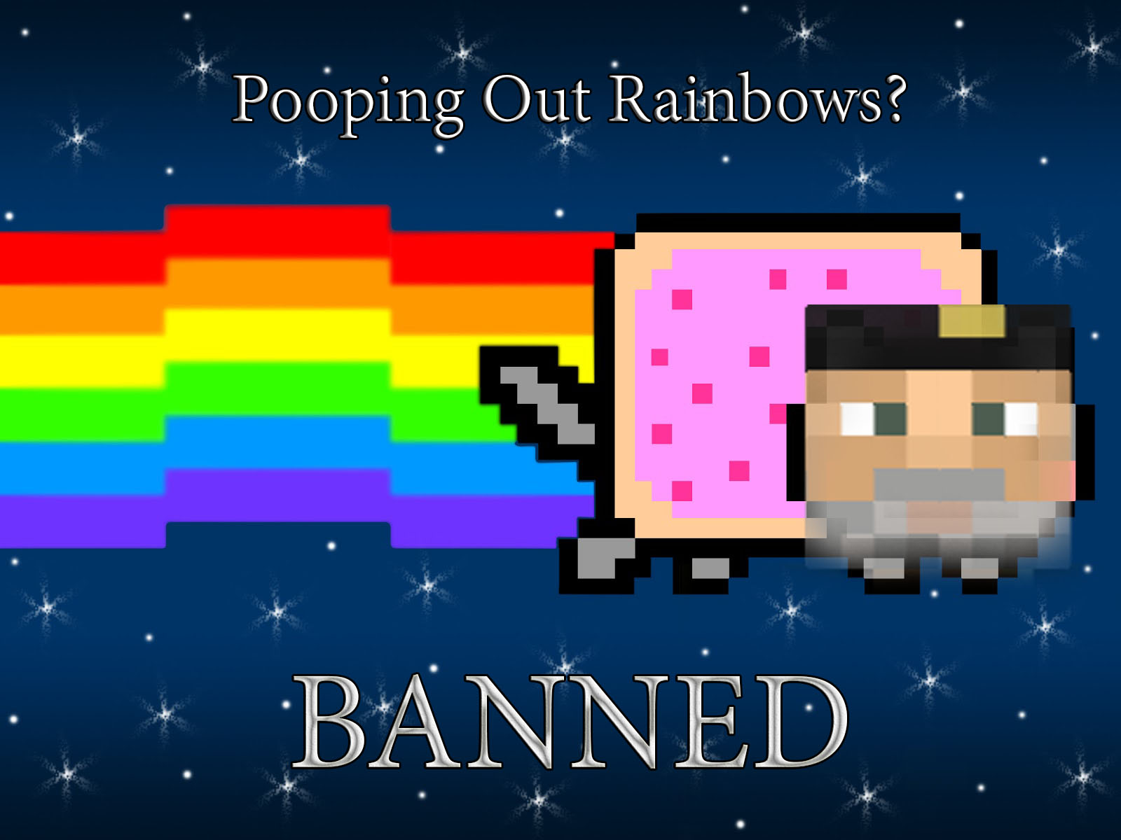 Nyan Cat Wallet.jpg