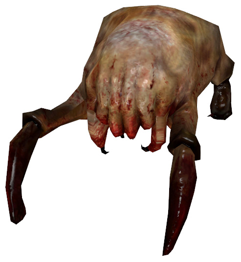 Shanaynay.jpg