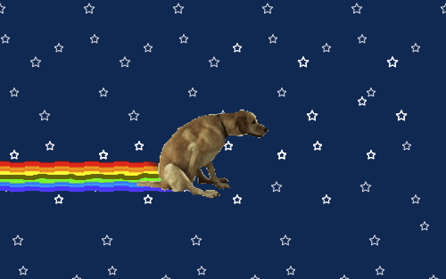 tumblr_ndu520wKTt1qzeda2o1_500.gif