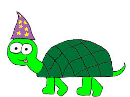 turt.jpeg