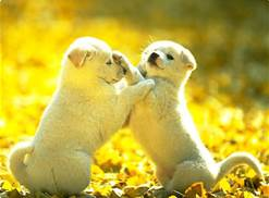 upload_2014-4-17_16-44-11.png
