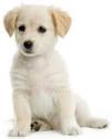 upload_2015-1-11_22-10-27.jpeg