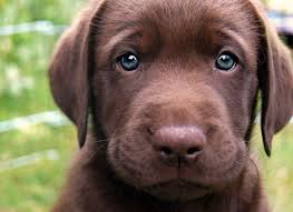 upload_2015-2-2_23-5-30.png