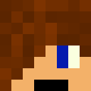 Voxcile skin.png