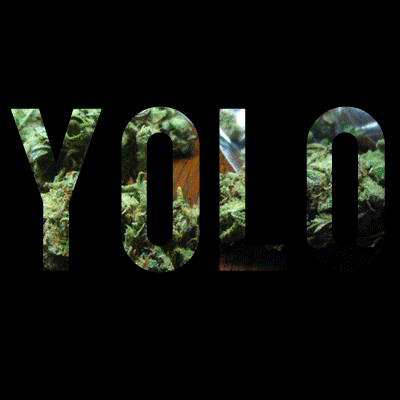 YOLO.gif