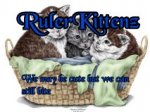 RulerKittenz.jpg