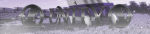 Capture.png