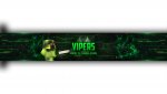Viper clan banner_edited-1.jpg