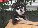 Sup Ladies.jpg