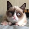 KittehMonstah