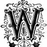 Team_Wasabi