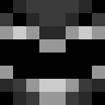 ShizWoz