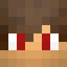 Network_SG_Pro