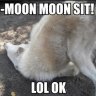 MyNameIsMoonMoon