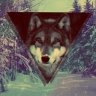 waggd