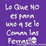 javier_18xYT
