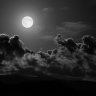 NightHunterz