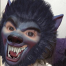 Cochii