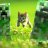 furretfan137