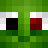 Turt1eManLol