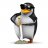 flabbypenguin