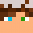 AdjacsMc