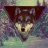waggd