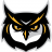 Owls