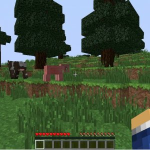 Minecraft Survival Games #1 - Co-op with Shadowedhound