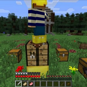 IIzTrollin: Minecraft Survival Games (Hunger Games)