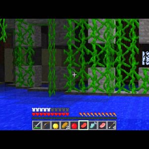 MineCraft Survival Games ep.5 BackTracing