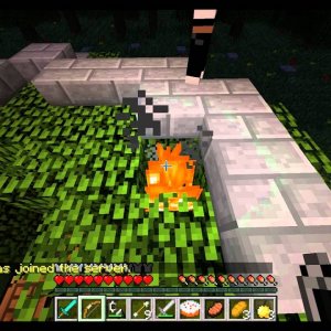 Surviving the Games 12: Mr. Jones