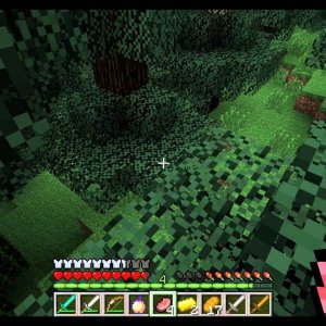 IIzTrollin: Minecraft: Survival Games (Hunger games)