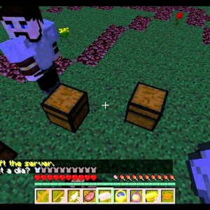 IIzTrollin: Minecraft:Survival Games (Hunger Games)