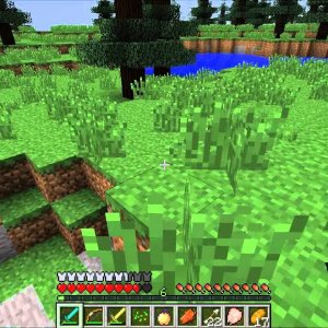IIzTrollin: Minecraft Survival Games (hunger games)