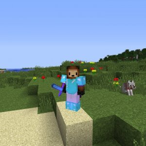 Being Pro......as a noob!