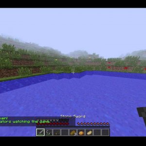 My 300th win! by:TheSlimeFrog