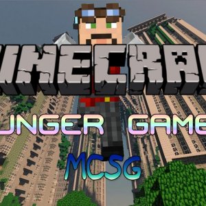 Minecraft: Hunger Games w/ DwiNo #1 - Solo Team Work