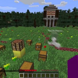 Minecraft Survival Games - MY Emerald!