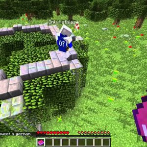 Minecraft Survival Games - I crouched into a fire!