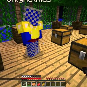 Minecraft Survival Games - Lagception Winning