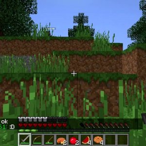 MineCraft Survival Games ep. 38 I Want to go to the Park at 9 AM!